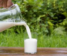 milk of human kindness